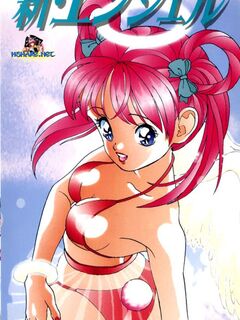 Shin Angel / 新・エンジェル [Eng Sub]