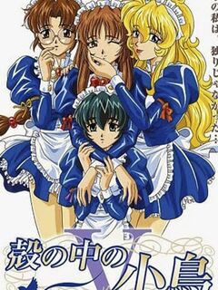 The Maiden Diaries / 殻の中の小鳥