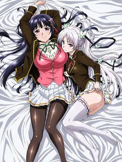 Ojou-sama Yomeiri Kousou! / お嬢様☆嫁入り抗争!