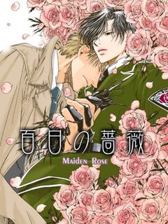 Maiden Rose / 百日の薔薇
