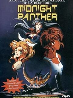 Midnight Panther / ミッドナイトパンサー