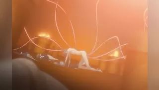 Kuro Ai: Hitoyozumakan Inkou Rannyuuroku - Ep.2