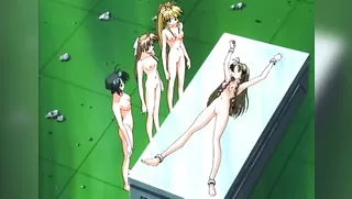 Countdown to Delight