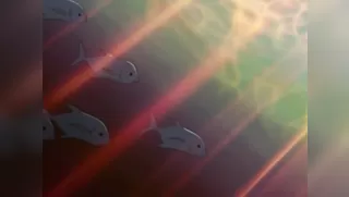 One: True Stories - Ep.3