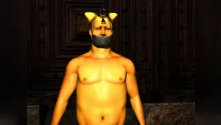 Seidorenger - Humiliated Sentai Heroine