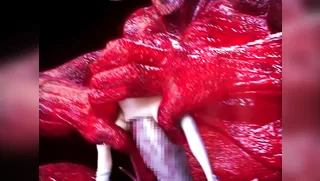 little ballerina - HINA BITCH