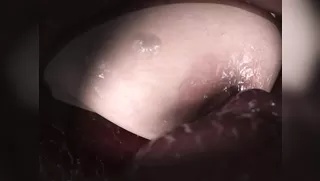 little ballerina - HINA BITCH