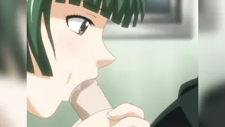 Tsuukin Kairaku: Chikan de Go!!