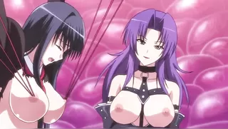 Seito Kaichou Hikaru