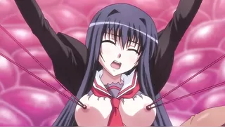 Seito Kaichou Hikaru