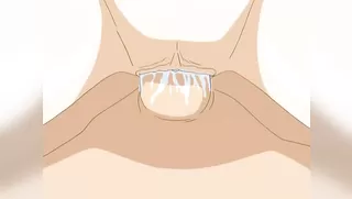 Virgin Auction - Ep.1