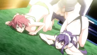 Baku Ane: Otouto Shibocchau zo! The Animation
