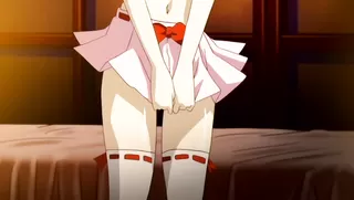 Otokonoko Ojou-sama! Hikaru to Ayana no Himitsu Collection