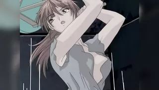 Kanariya wa Kago no Naka