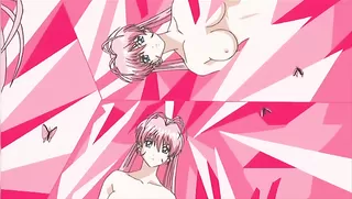 Lingerie Senshi Papillon Rose