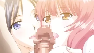 Boy Meets Harem The Animation