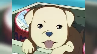 Yoi Ko - Ep.14