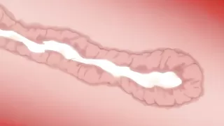 Koiito Kinenbi The Animation - Ep.2