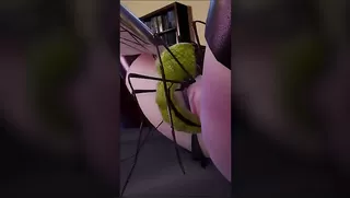 Lilia with InsectS - Ep.7
