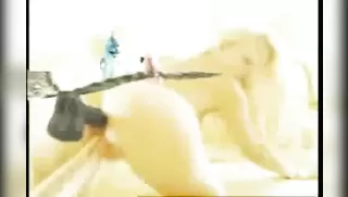 3D Porn clips From Yuusha Kara wa Nigerare Nai game