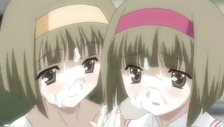 SHINYDAYS Article one leaf Nijo Futaba Futaba