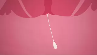 Es rappelt im Karton