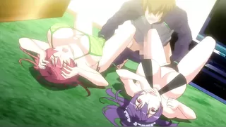 Baku Ane: Otouto Shibocchau zo! The Animation ~ Director's Cut Edition