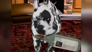 Protecting a long evening