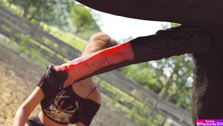 Emily s Diary - Ep.6