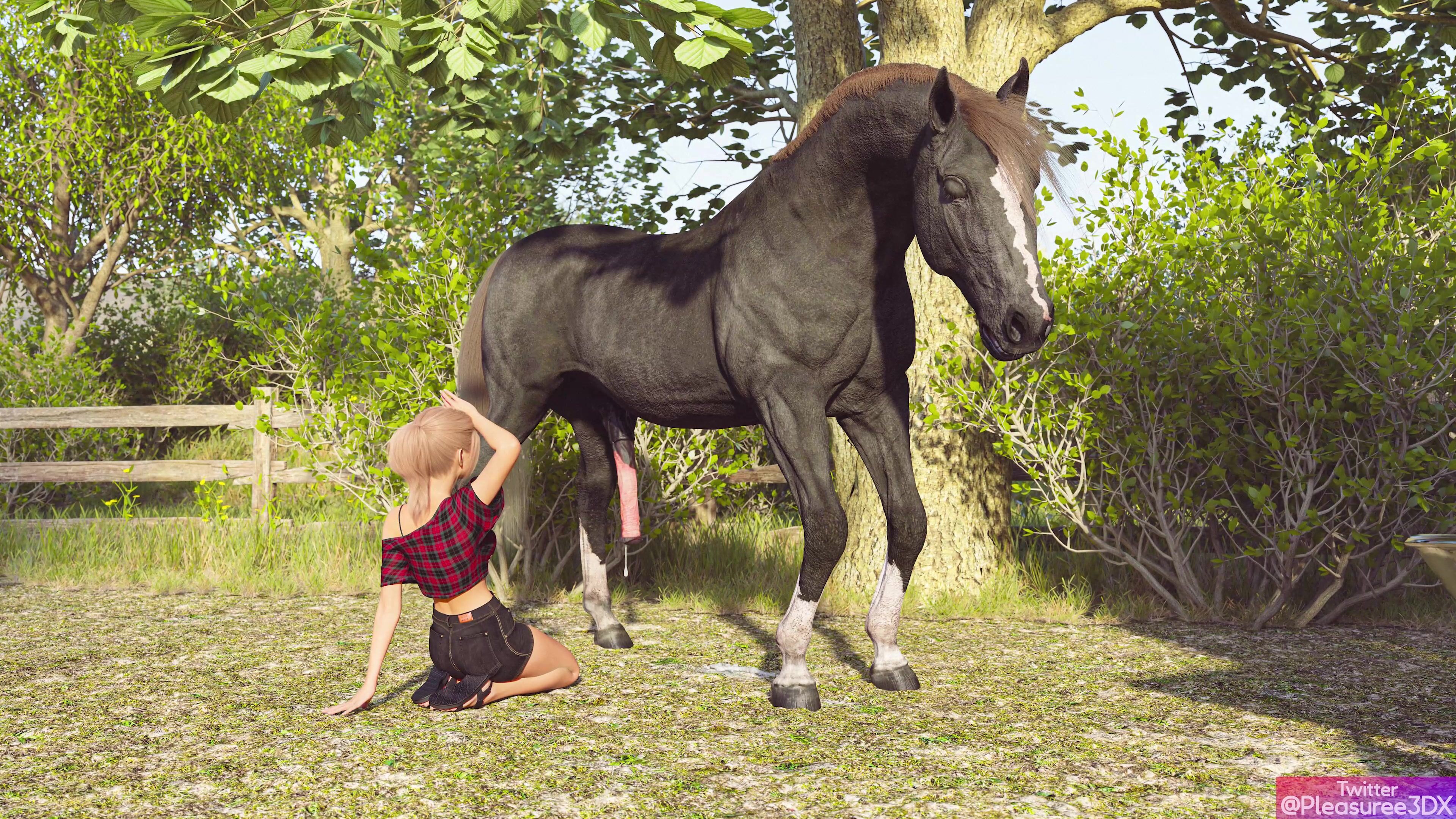 A daring journey of pleasure