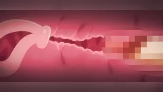 Mou Ichido, Shite Mitai